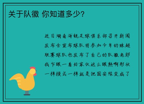 关于队徽 你知道多少？